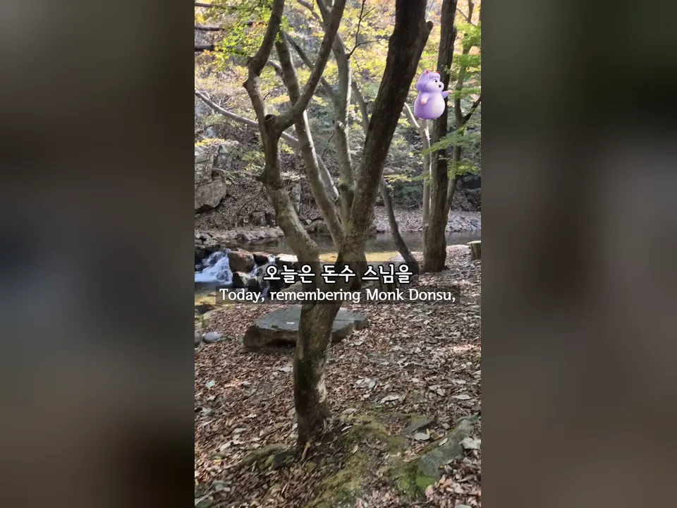 사라지지 않는 시간, 차 한 잔에 담아보는 그리움